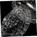 GANAZONO Fruits Forming Mould Vegetable Ginseng Vegetable Shaping Fruit Cucumber Fruits and Vegetables - Buy Online on GoSupps.com