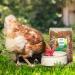 Buy CHICKENS Land Mealworm Feast - Dried Mealworms for Ornamental Poultry & Reptiles | 5 Liters Additive-Free International Shipping - Buy Online on GoSupps.com