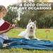 Supet Ground Anchor for Dogs - Durable Blue Mooring Stake & Ground Spike Leash for Beach Use - Buy Online on GoSupps.com