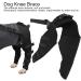 1 Pair Dog Leg Brace Pet Dog Hind Legs Protector Adjustable Knee Brace Leg Support for Dogs Hind Legs Recover L Bone & Joint Health Supplements Large - Buy Online on GoSupps.com