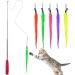 Dasalles interactive cat toys retractable natural spring rod cat toy with 5 pieces of cat fishing replacement worm cat toys