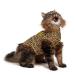 MPS Medical Pet Shirt Cat Leopard Print XXXXS