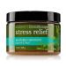 Bath & Body Works Eucalyptus Spearmint Stress Relief Sugar Body Scrub 13 Ounce