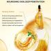 Ginseng Serum - Anti-Wrinkle Facial Oil & Polypeptide Essence for All Skin Types | 100ml Ginseng Anti-Aging Solution - Buy Online on GoSupps.com