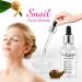 Snail Collagen Face Serum Snail Slime Moisturizing Face Serum Natural Anti-aging Anti-wrinkle and Anti-spot Ingredients 30ML - Buy Online on GoSupps.com