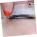 FOMIYES 8 Rolls Eyelash Tape Lash Extension Supplies White Lash Tape Eye Skin Tape Eyelash Grafting Tape Breathable Tape Under Eye Non-woven Fabric Hand Torn Cloth Belt 4X4X2.5CM White 02 - Buy Online on GoSupps.com