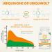 1000mg Liposomal Ubiquinol CoQ10 Supplement - 120 Vegan Softgels for Heart Health & Energy - High Absorption Antioxidant (Pack of 2 - Buy Online on GoSupps.com