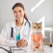 AVONT Cat Recovery Suit - Protective Alternative Surgical Spay Suit for Female Cats Gray Coral L - Ideal for Post-Operative Care & Skin Diseases - Buy Online on GoSupps.com