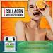 Aiwei Collagen Cream for Face - Day and Night Retinol Moisturizers with Hyaluronic Acid & Vitamin C | Improve Skin Texture & Glow | Moisturizer with Collagen Boosting Benefits - Buy Online on GoSupps.com