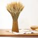 YoleShy Dried Wheat Stalks - 200 Stems Natural Wheat Decor (15.7 Inches) - Ideal for Home, Kitchen, Christmas, Wedding - 200 Pcs - Buy Online on GoSupps.com