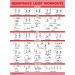 Resistance Bands & Loops Workout Posters 2 Pack - Laminated Exercise Charts - Light 18x24 - Buy Online on GoSupps.com