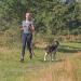 Trixie Dog Jogging Line with Belly Belt (M-L) - 1.10-1.50m 20mm - Ideal Leash for Medium to Large Dogs - Black/Graphite - Perfect for Sports & Activities - Buy Online on GoSupps.com