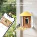 Birdfy Bird Feeder with Camera - AI Detection Video Recording & Solar Powered - Ideal for Wild Bird Feeding - Buy Online on GoSupps.com