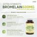 Herba Bromelain Supplement 600mg 180 Capsules | 2 400 GDU/g Max Potency | Powerful Digestive Enzymes for Women and Men | Made in Canada - Buy Online on GoSupps.com