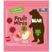 BEAR Fruit Minis DUO 18 Packs per Box- Healthy Fruit Snacks Apple & Strawberry Flavour 100 Grams - Buy Online on GoSupps.com