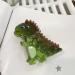 Dtaigou Animal Hair Clips | Dinosaur Nonslip Hair Clamps Novelty Fashionable Acrylic Animal Hair Clips For Children Women Kids Little Girls Stegosaurus - Buy Online on GoSupps.com