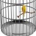 Kathson Parrot Perch Stand - Natural Wild Grape Paw Grinding Pole for Parakeet, Cockatiels, Budgies, Conure, Lovebirds | Bird Cage Accessories - Buy Online on GoSupps.com