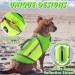 Emust Dog Vest - Lightweight Life Jacket for Small Dogs | Stylish XS Green with Rescue Handle & Reflective Stripes for Swimming Boating & Kayaking - Buy Online on GoSupps.com