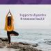 Innate Response Flora 50-14 Clinical Strength - 60 Capsules Probiotics - Buy Online on GoSupps.com