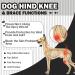HJYOKUSO Recovery Suit for Dogs - XXL Black Surgery & Hind Leg Protection | Leak Cuff & Licking Prevention - Buy Online on GoSupps.com