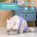 Avont Katzenbody | Post-Op Recovery Suit for Cats | Leak Protection | Lavender S | Ideal for Castration Spay Wound & Skin Disease Care - Buy Online on GoSupps.com