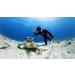 Buy Insta360 X3 Invisible Dive Case - Best Waterproof Accessory for Underwater Adventures | International Shipping Available - Buy Online on GoSupps.com
