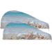 Beach Seashell Starfish Hair Towel 2 Pack - Super Absorbent Quick Dry Hair Turbans for Women & Girls - Buy Online on GoSupps.com