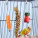 JTKREW 2 Pack Stainless Steel Bird Skewers for Parrots | Fruit & Vegetable Holders | Foraging Toys - Buy Online on GoSupps.com