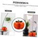 STOBAZA Persimmon Ruyi Jar Decor for Home Car Ornaments Organic Fruit Ceramics Snack Persimmon Fruit Office As Shown-1 8.8X7.8CM - Buy Online on GoSupps.com