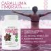 Caralluma Fimbriata 1200mg - 100% Pure Weight Loss Supplement - Natural Appetite Suppressant - Metabolism Booster for Women & Men - Made in USA - 1 Month Supply - Buy Online on GoSupps.com