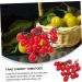 HOMSFOU 5pcs String Simulated Cherry Tomatoes Realistic Cherry Toys Simulation Cherry Tomatoes Artificial Tomatoes Faux Cypress Garland Fake Peaches Fake Cherries Child Pvc Fake Food Fruit Redx5pcs 18X16CMx5pcs - Buy Online on GoSupps.com
