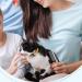 2 Pcs Dog Metal Combs | Cat Wooden Handle Grooming Comb | Stainless Steel Double-Sided Pet Grooming Brush | Long & Short Hair Fur Tool - Buy Online on GoSupps.com