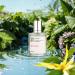 KtafaEDP Eau de Parfum - Ambery Vanilla - Inspired by B-l.a-c-k Op-ium - Feminine - 1.7Oz (50ml) - Buy Online on GoSupps.com