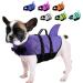 Queenmore Dogs Wowers RipStop Huideling Dog Lifeguard For Dogs Knuffelwuff Wallpasters Medium Small Large Large Lifeguards With Lifting Gazette For Kayak Swimming (purple XS) XS Purple