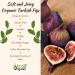 Organic Turkish Dried Figs - USDA Certified, NO Added Sugars, Sulfurs, or Preservatives | NON-GMO, VEGAN & KOSHER - 2 Packs (16oz) - Buy Online on GoSupps.com