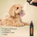 GROOM PROFESSIONAL Fruit Punch Dog Cologne Spray - Dog Perfume Spray - Dog Spray for Smelly Dogs - Tropical Cocktail Scent - Fruity Fragrance - Perfect for Between Washes - Long-Lasting Scent 100ml 100 ml (Pack of 1) - Buy Online on GoSupps.com