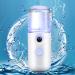 Mini Humidificateur Portable Spray Nano Vaporisateur D'hydratation Peau Format Mini Blanc Appareil Hydratant pour Soins du Visage et Brume Rafra chissante Usage Personnel 1 - Buy Online on GoSupps.com
