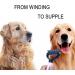 Buy MMSGA Dog & Cat Grooming Comb Set - Double-Sided Fur Stripper & Flea Comb for Animal Care - Large Pink - International Shipping Available - Buy Online on GoSupps.com