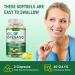 FRKSTYL Oil of Oregano with Black Seed Oil 120 Capsules 2-in-1 Organic Oregano Capsules Supplement with High Carvacrol & Thymoquinone Non-GMO for Immune Support Digestive Health Antioxidant (1 Pack) - Buy Online on GoSupps.com