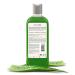 Hair Fall Control Shampoo - 100% Vegan Aloe Vera Infused Eco-Friendly & Cruelty-Free | No Parabens or Silicones - 12 fl oz - Buy Online on GoSupps.com