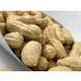 Executive Deal Peanuts in Shell for Birds, Squirrels, Deer, Wildlife - 2 lb (32 oz) - Buy Online on GoSupps.com