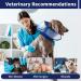 Kuoser Adjustable Soft Dog Recovery Collar | Leak-Proof Protective Cone for Surgery Comfort - Buy Online on GoSupps.com