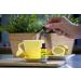 Rescue Remedy Plus B Vitamin Drops (20ml) Lemon & Elderflower - Vegan Formula for Emotional Wellness and Mental Performance - Buy Online on GoSupps.com