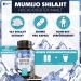 Shilajit Capsules Original - 1000mg Daily Dosage - 120 High-Dose Capsules - Natural Mumijo Shilajit Extract Rich in Minerals Fulvic & Humic Acid - Buy Online on GoSupps.com