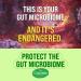 Culturelle Immune Defense Probiotic + Elderberry Vitamin C and Zinc Immune Support for Adults Mixed Berry Chewables 28 Count - Buy Online on GoSupps.com