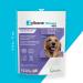 Vetoquinol Zylkene Veterinary Health Product - Calm and Relaxed Behaviour in Pets During Stressful Events - 450 mg - Large Dogs - 14 Units Large Dogs 450 mg - Buy Online on GoSupps.com