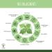Ortie Bio - Bioptimal - Compl ment Alimentaire - Silicium Organique - Poudre de Feuille Ortie Pure - Articulation Peau Circulation - 250 mg/g lule - Cultiv en France - Certifi Ecocert - 60 g lules 60 unit (Lot de 1) - Buy Online on GoSupps.com
