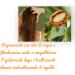Rejuvenating mask with argan oil - Buy Online on GoSupps.com