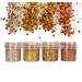 Chunky Make-Up Glitter Sequin Set | Face Nails Eyes & Hair Decor | Ideal for Music Festivals & Parties - Buy Online on GoSupps.com