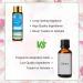 PHATOIL Sea Breeze Fragrance Oil - 10ml for Diffuser, Aromatherapy, Soap & Candle Making - Buy Online on GoSupps.com